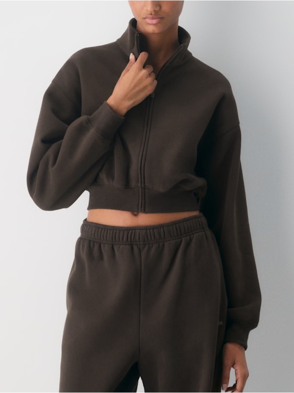 Aritzia Cozy Sweatfleece Boyfriend Mock Crop Zip-up